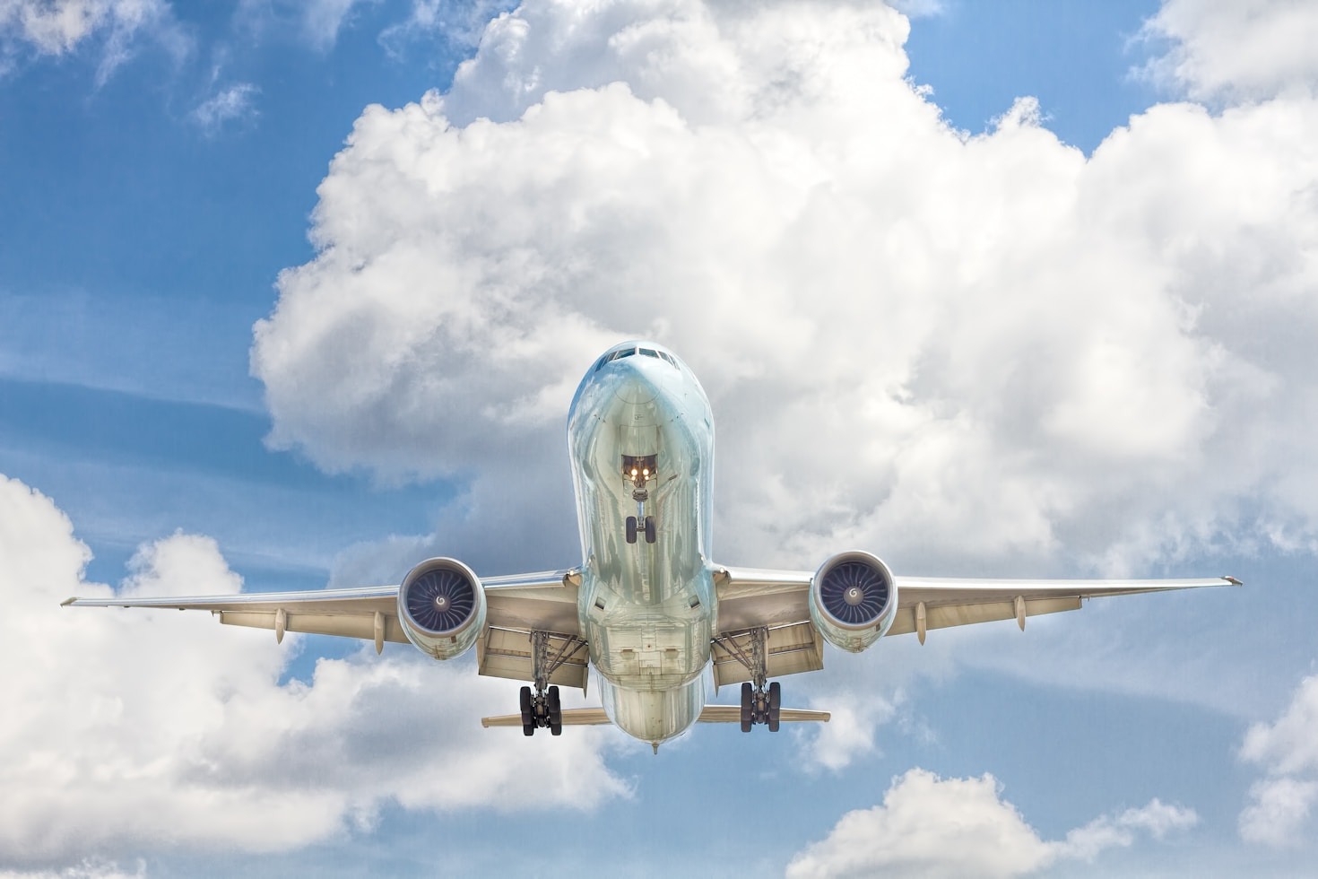 Navigating Accessibility In Professional Transport